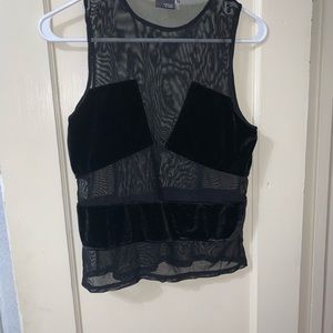 Sheer velvet top